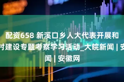 配资658 新溪口乡人大代表开展和美乡村建设专题考察学习活动_大皖新闻 | 安徽网