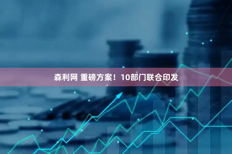 森利网 重磅方案！10部门联合印发