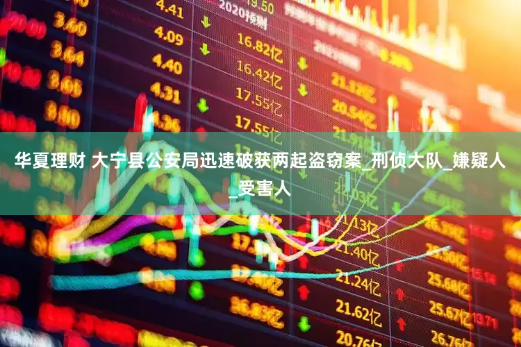 华夏理财 大宁县公安局迅速破获两起盗窃案_刑侦大队_嫌疑人_受害人