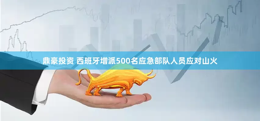 鼎豪投资 西班牙增派500名应急部队人员应对山火