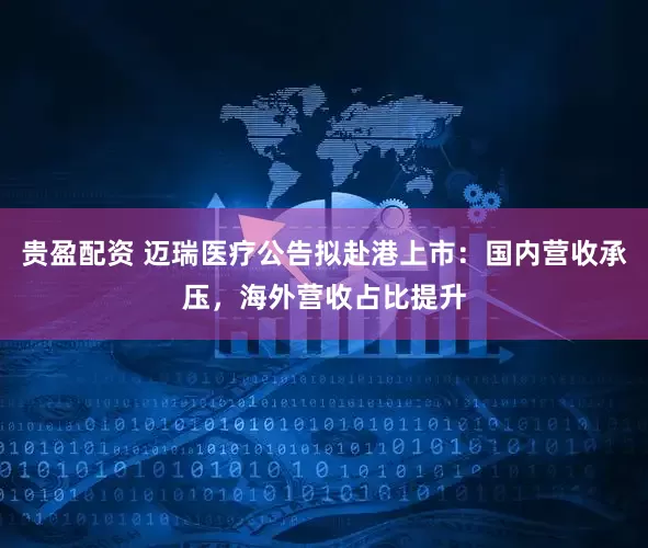 贵盈配资 迈瑞医疗公告拟赴港上市：国内营收承压，海外营收占比提升