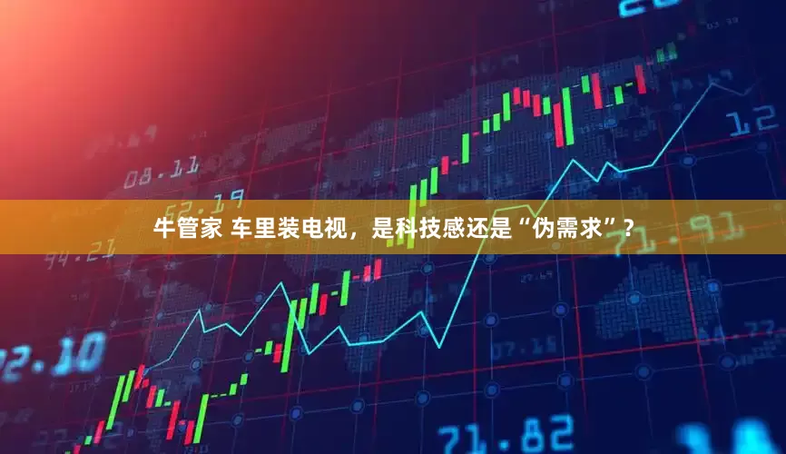 牛管家 车里装电视，是科技感还是“伪需求”？